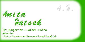 anita hatsek business card